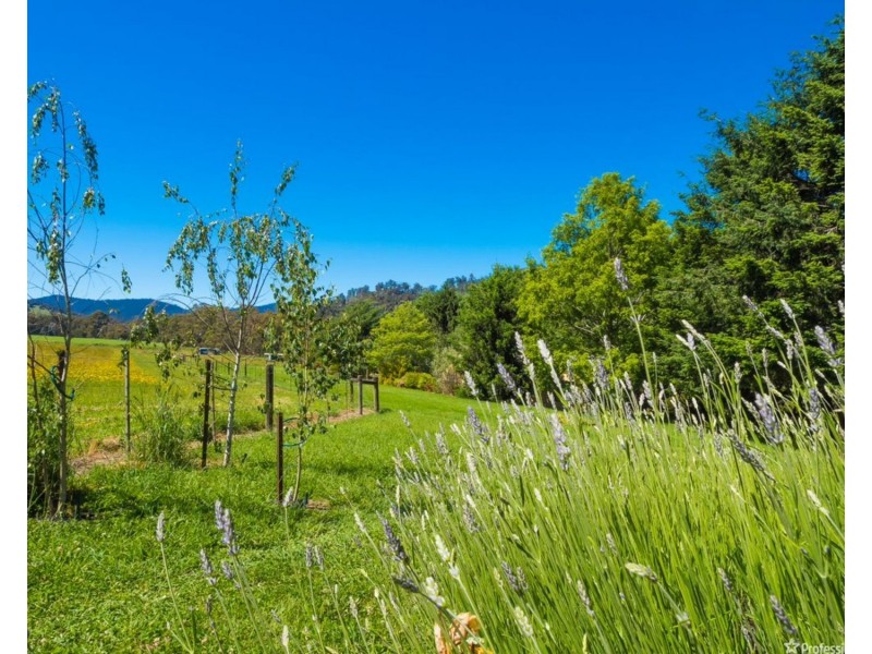 36 Maryton Lane, Marysville VIC 3779