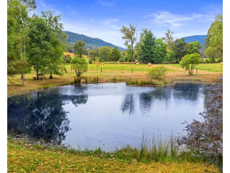 176 Marysville Road, Marysville VIC 3779