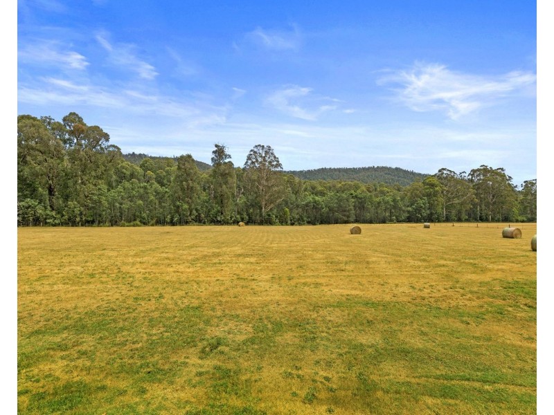 176 Marysville Road, Marysville VIC 3779