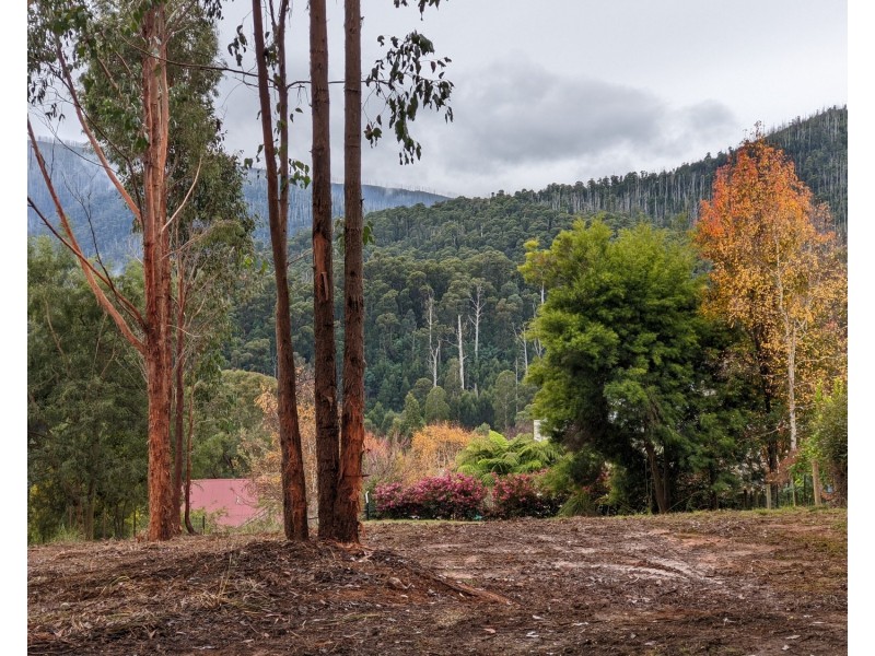 69 Kings Road, Marysville VIC 3779