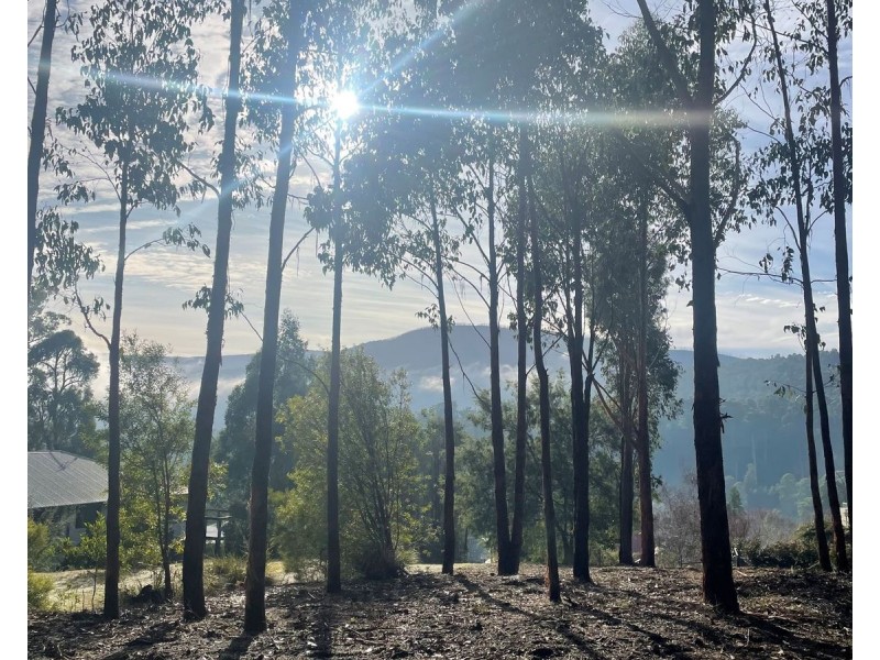 69 Kings Road, Marysville VIC 3779