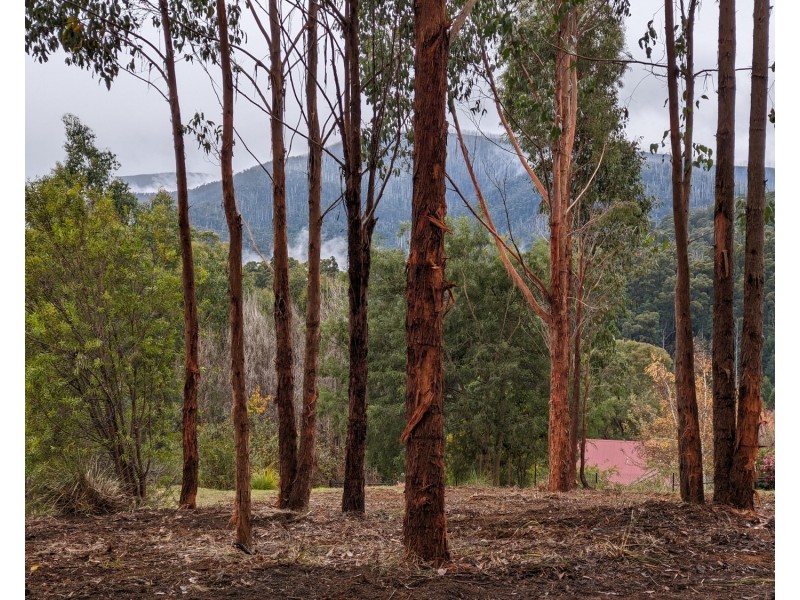 69 Kings Road, Marysville VIC 3779