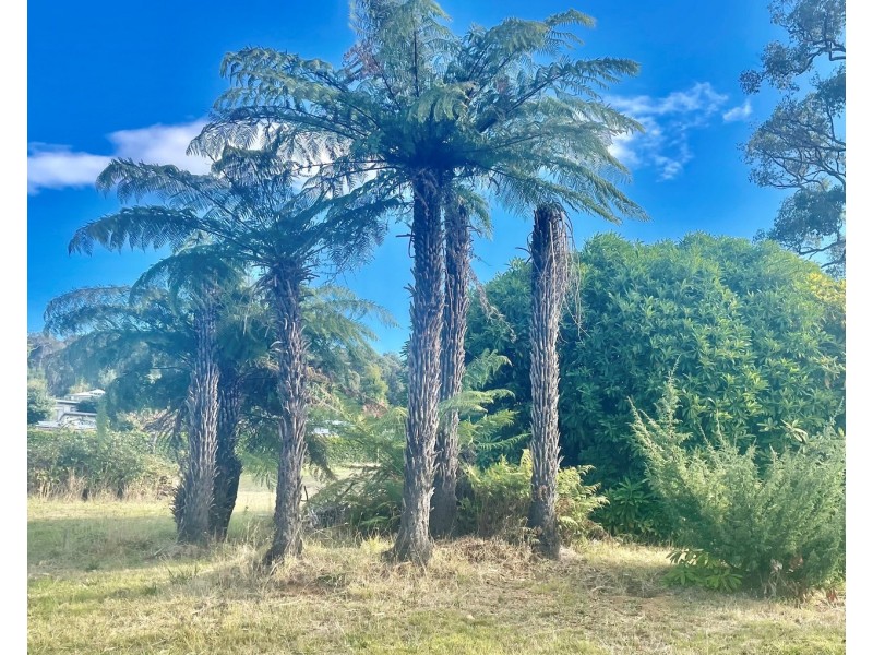 69 Murchison Street, Marysville VIC 3779