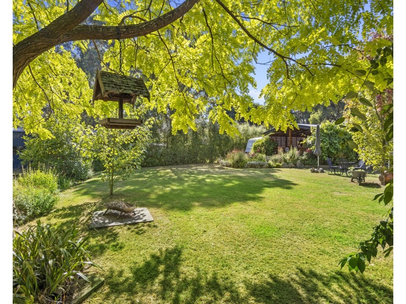 10 Steavenson Road, Buxton VIC 3711