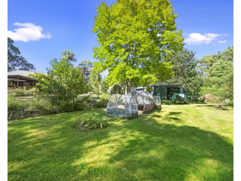 10 Steavenson Road, Buxton VIC 3711