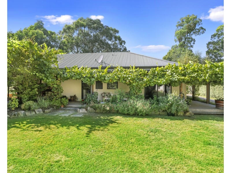 10 Steavenson Road, Buxton VIC 3711
