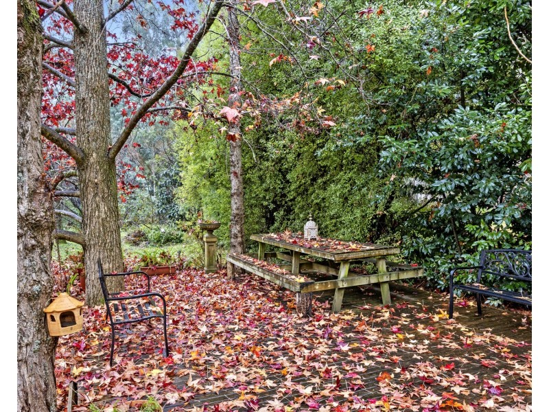 4 Ballina Court, Buxton VIC 3711