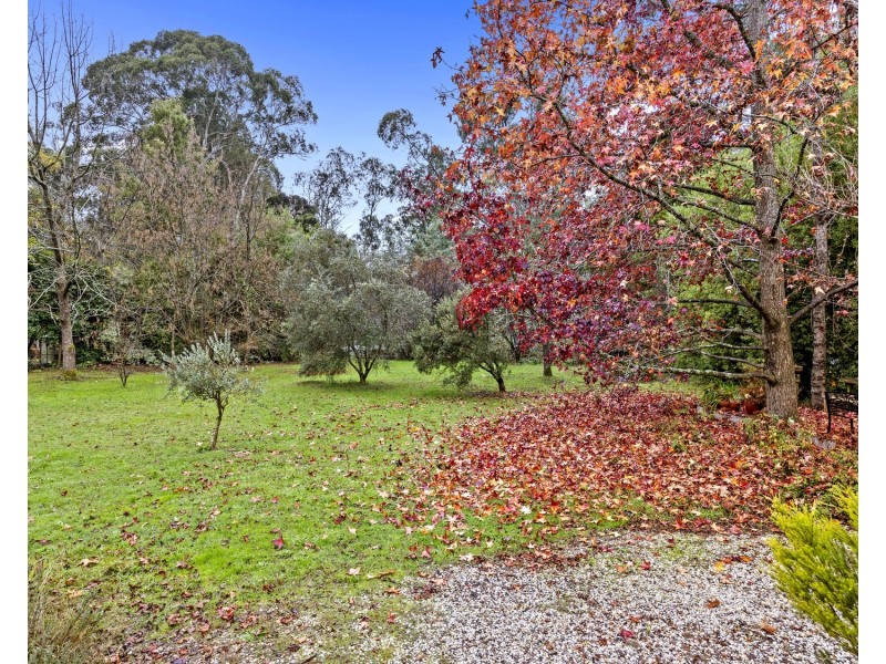 4 Ballina Court, Buxton VIC 3711