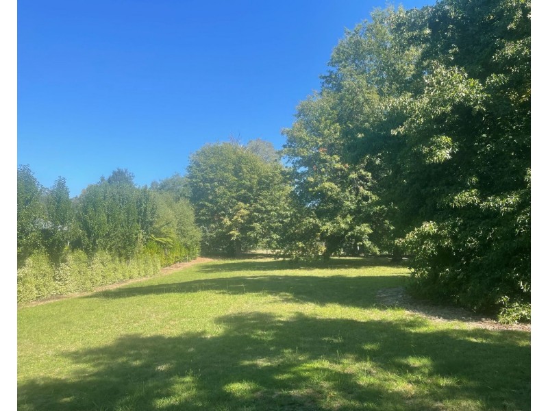 Lot 2, 22B Falls Road, Marysville VIC 3779