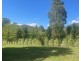 Lot 2, 22B Falls Road, Marysville VIC 3779