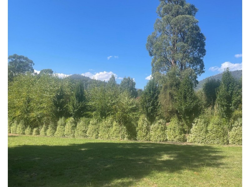 Lot 2, 22B Falls Road, Marysville VIC 3779
