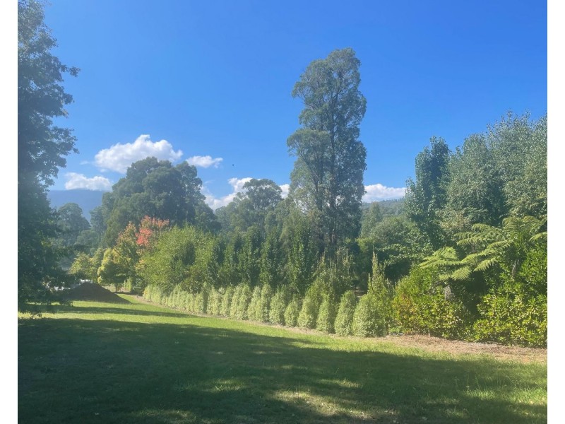 Lot 2, 22B Falls Road, Marysville VIC 3779