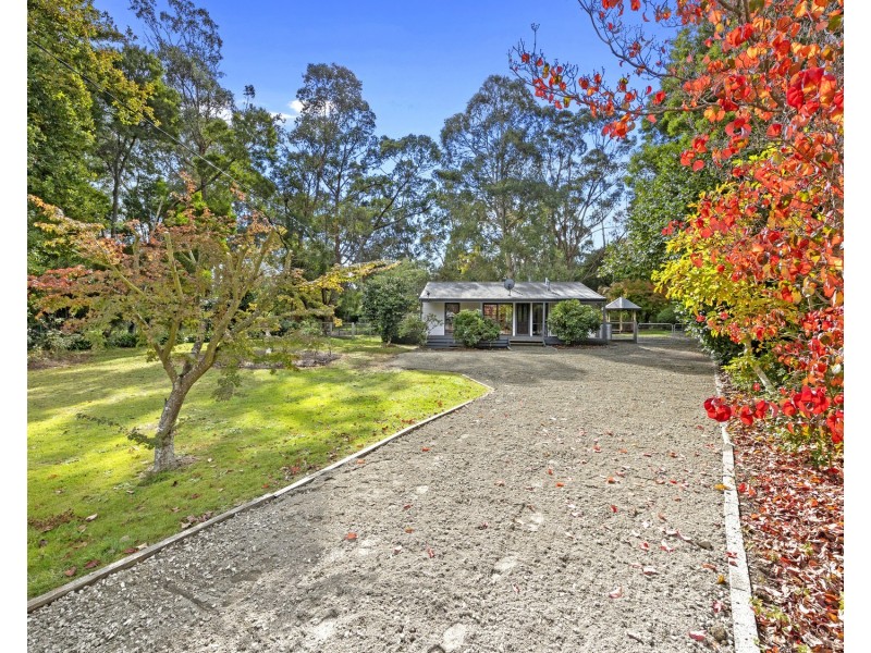 50 Mareeba Avenue, Buxton VIC 3711