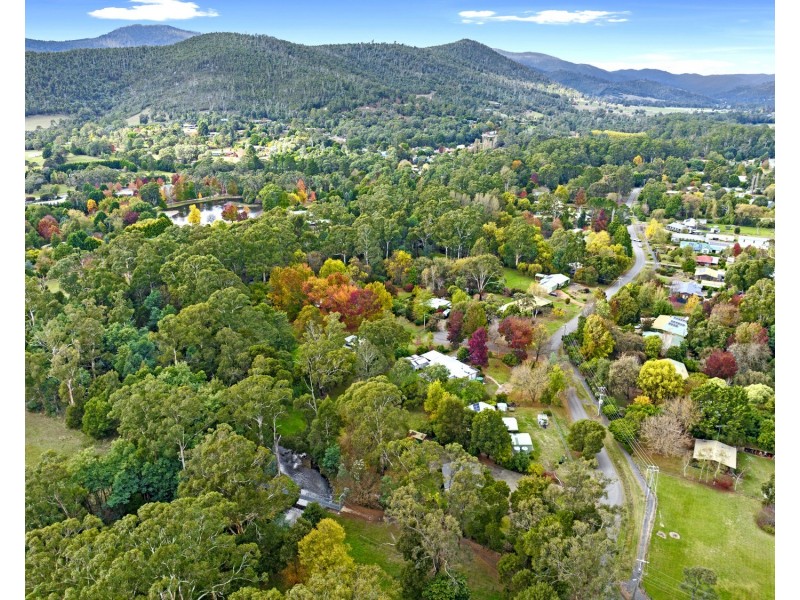 50 Mareeba Avenue, Buxton VIC 3711