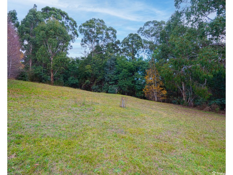 51 Sunds Road, Marysville VIC 3779