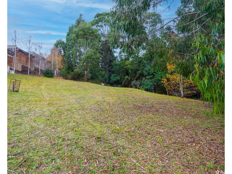 51 Sunds Road, Marysville VIC 3779