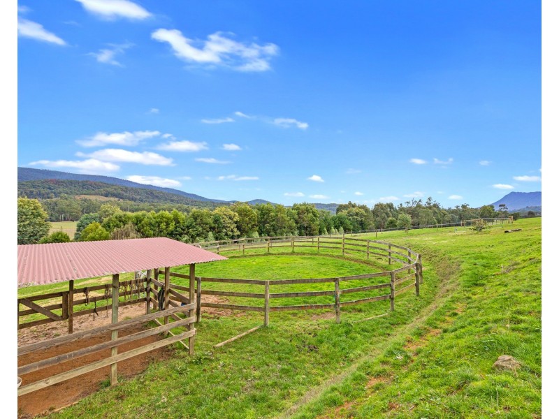 1966 Maroondah Highway, Buxton VIC 3711