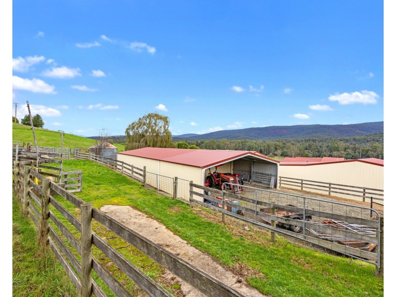 1966 Maroondah Highway, Buxton VIC 3711
