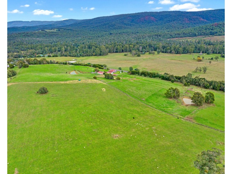 1966 Maroondah Highway, Buxton VIC 3711