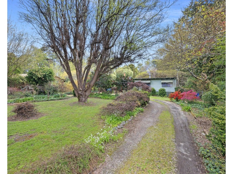 53  Mareeba Avenue, Buxton VIC 3711