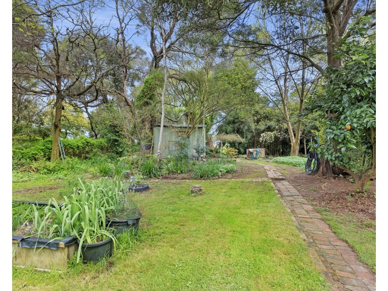 53  Mareeba Avenue, Buxton VIC 3711