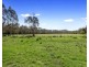 1301 Maroondah Highway, Narbethong VIC 3778