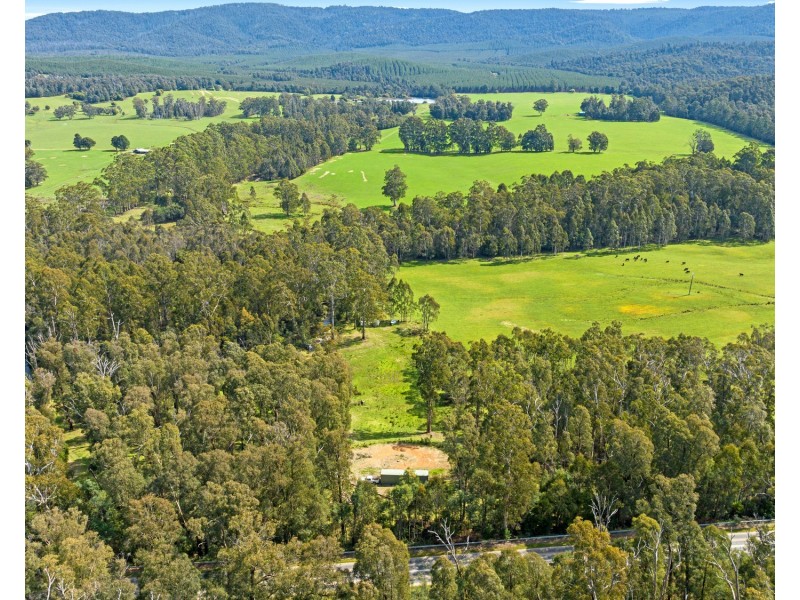 1301 Maroondah Highway, Narbethong VIC 3778