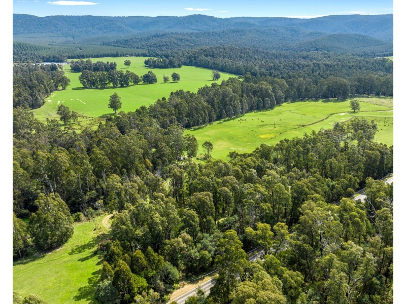1301 Maroondah Highway, Narbethong VIC 3778