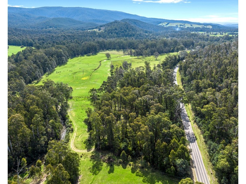 1301 Maroondah Highway, Narbethong VIC 3778