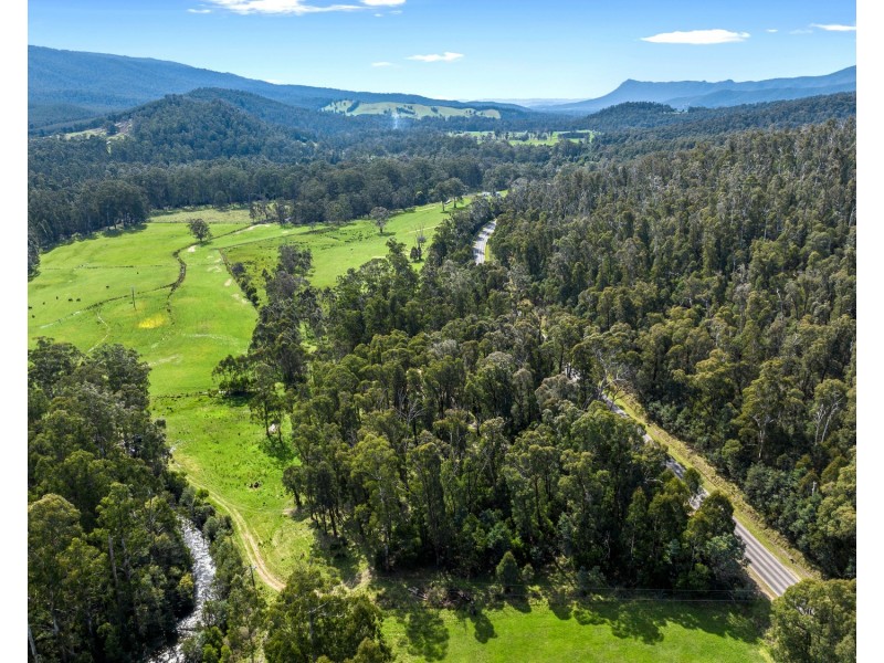1301 Maroondah Highway, Narbethong VIC 3778