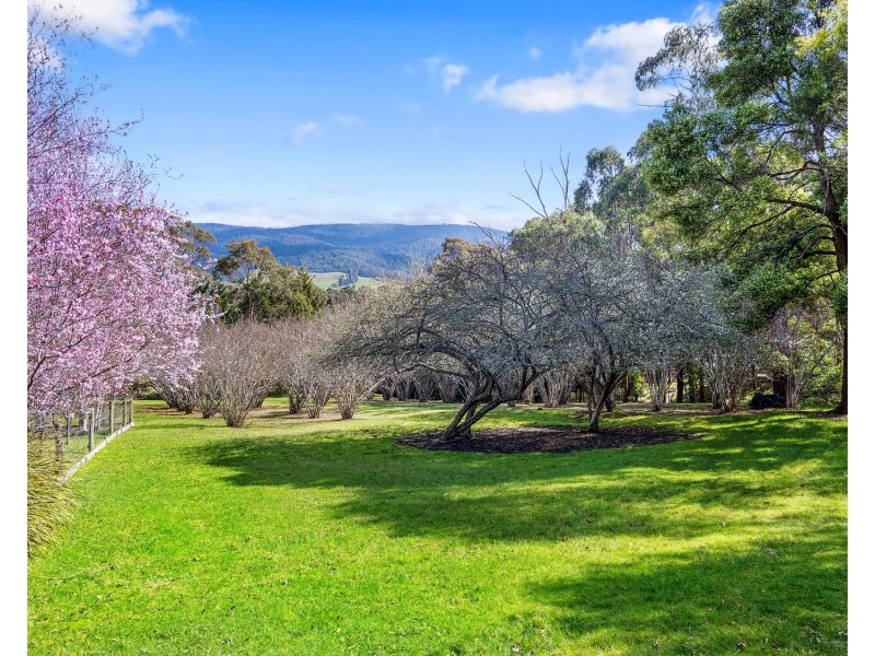 13 Gwinganna Place, Buxton VIC 3711