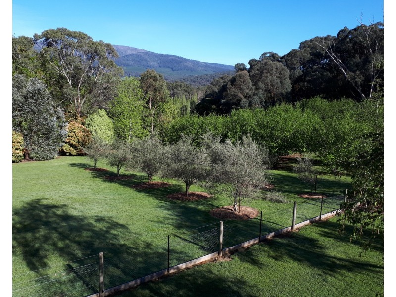 13 Gwinganna Place, Buxton VIC 3711