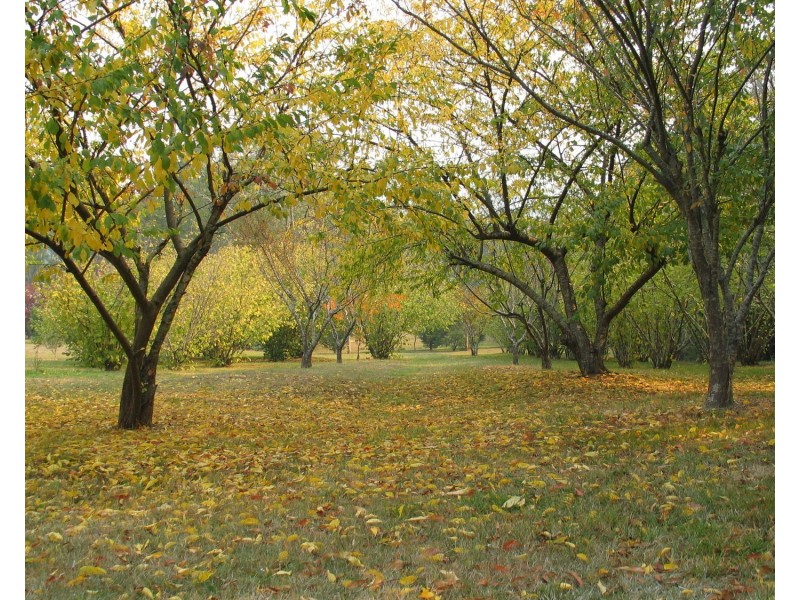 13 Gwinganna Place, Buxton VIC 3711