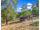 71 Buxton Marysville Road, Buxton VIC 3711