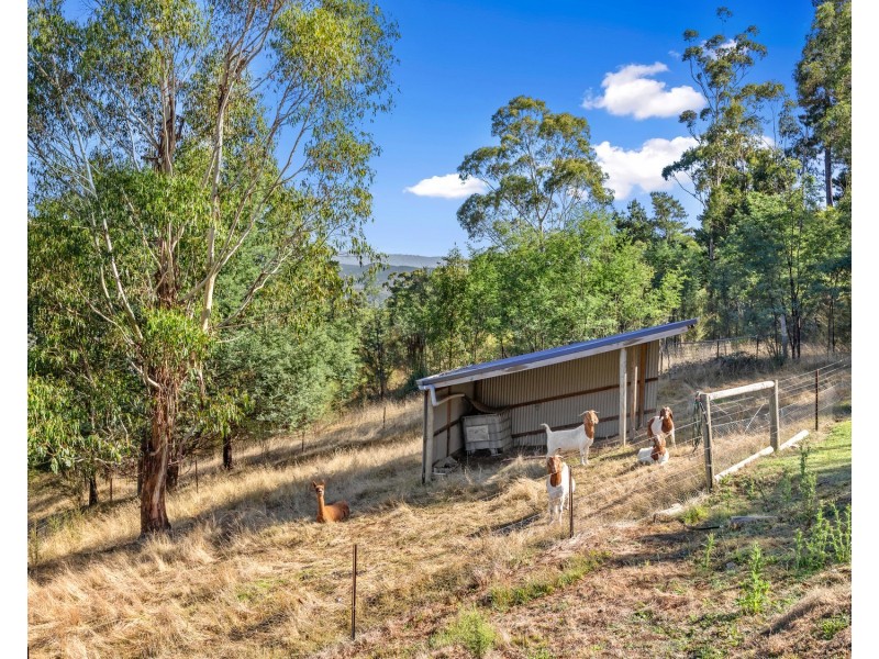 71 Buxton Marysville Road, Buxton VIC 3711