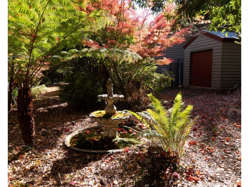 2/18 Woods Point Road, Marysville VIC 3779