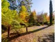 2/18 Woods Point Road, Marysville VIC 3779