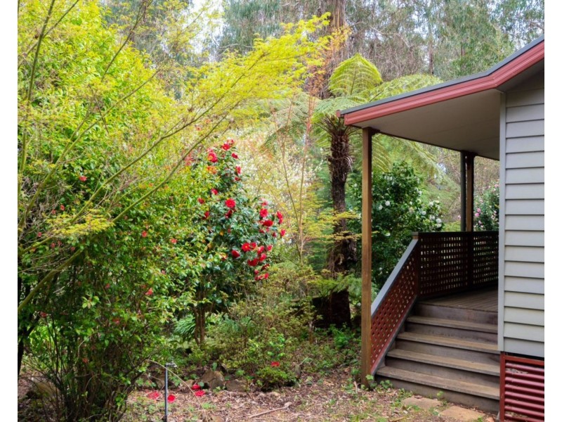 2/18 Woods Point Road, Marysville VIC 3779