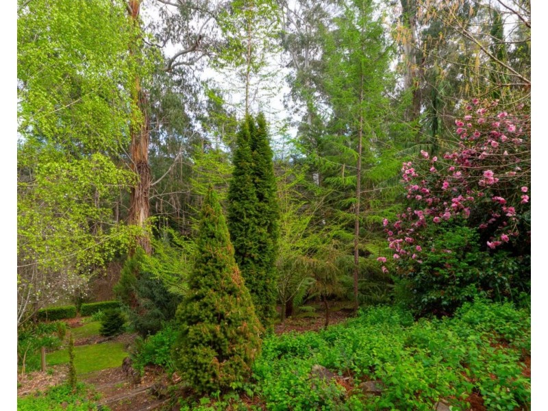 2/18 Woods Point Road, Marysville VIC 3779