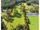 1260 Maroondah Highway, Narbethong VIC 3778
