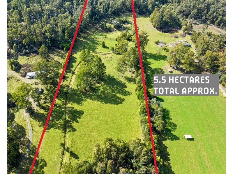 1260 Maroondah Highway, Narbethong VIC 3778