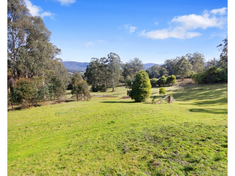 1260 Maroondah Highway, Narbethong VIC 3778