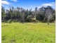 1260 Maroondah Highway, Narbethong VIC 3778
