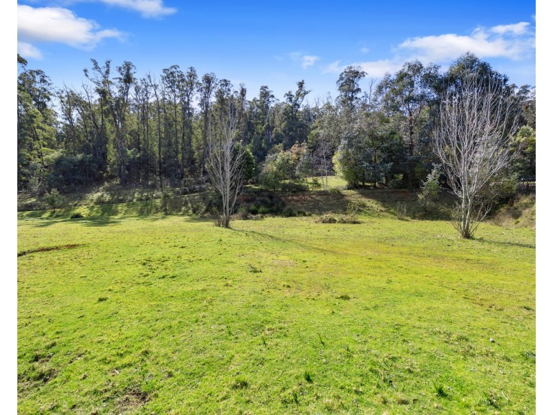 1260 Maroondah Highway, Narbethong VIC 3778