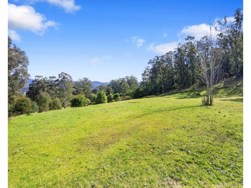 1260 Maroondah Highway, Narbethong VIC 3778