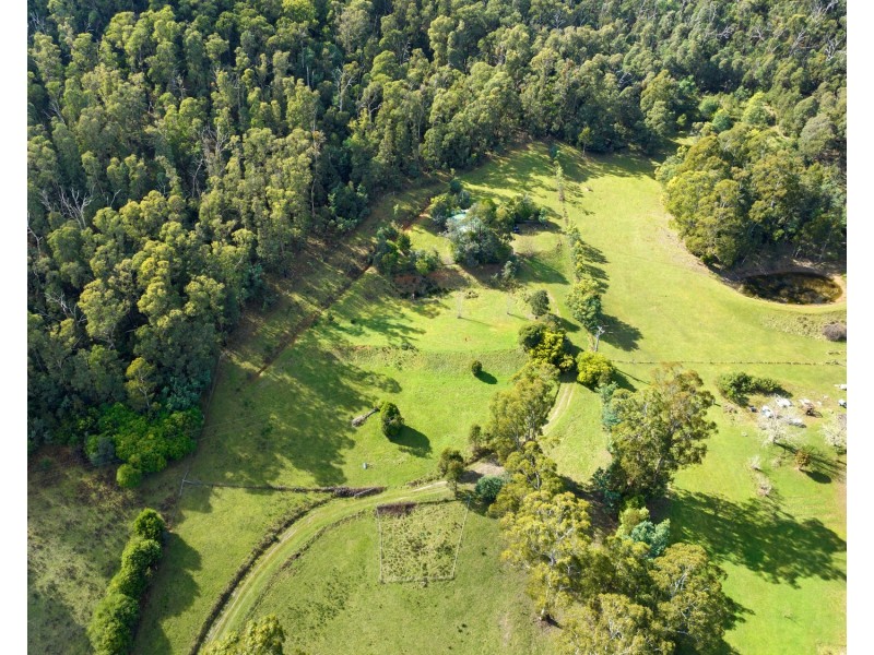 1260 Maroondah Highway, Narbethong VIC 3778
