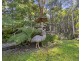23 Telford Road, Narbethong VIC 3778