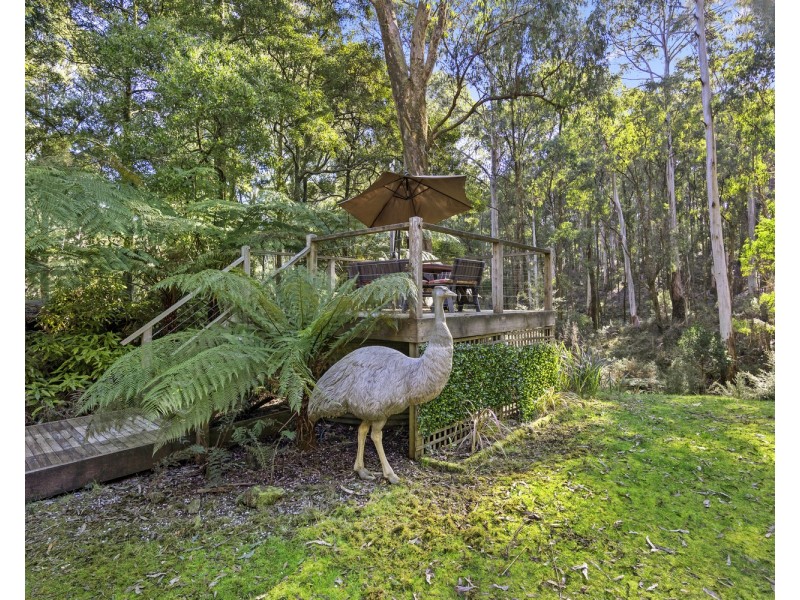 23 Telford Road, Narbethong VIC 3778