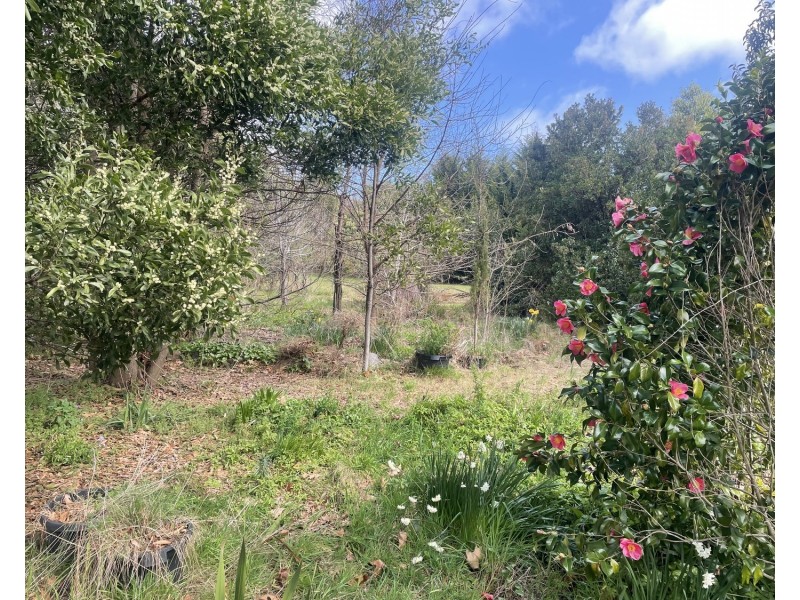 47 Murchison Street, Marysville VIC 3779