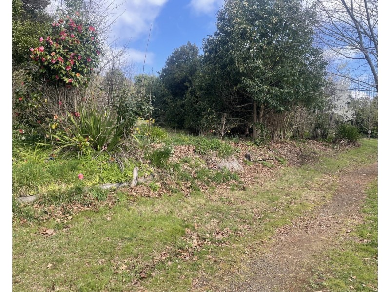 47 Murchison Street, Marysville VIC 3779